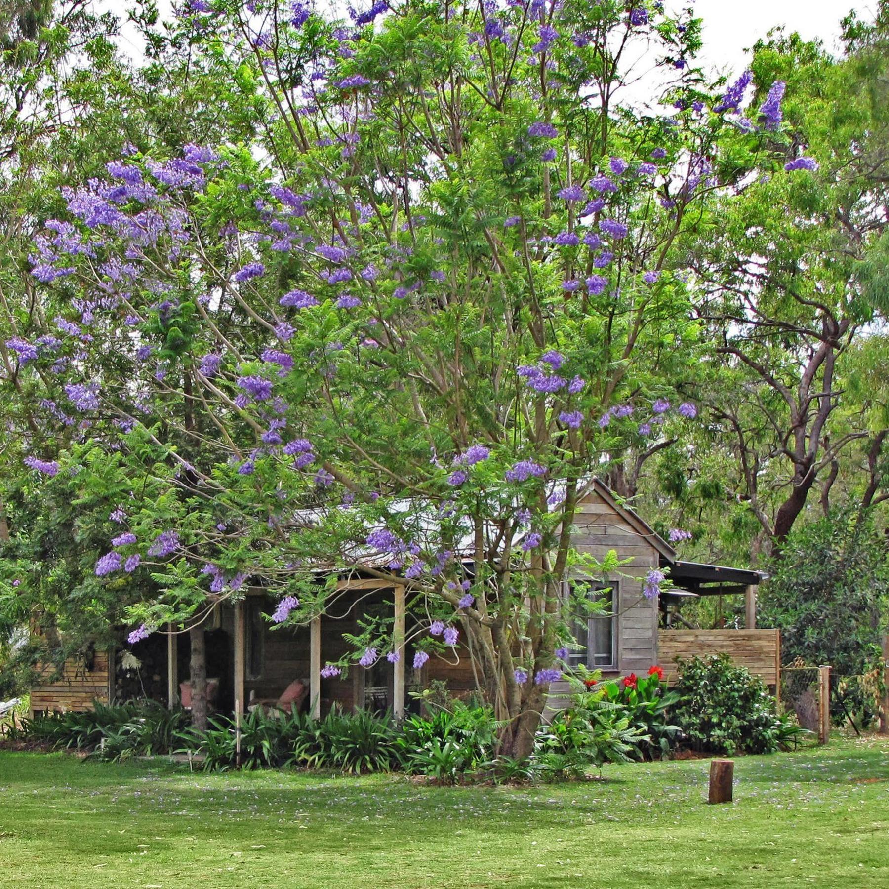Hotel The Laurels Of Chinchilla Exterior foto
